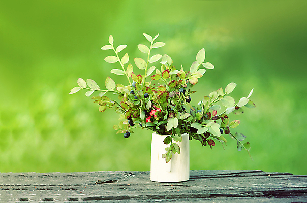 포토 JPG 해외이미지 식물 잡화 열매 음료 음식 잎 농업 다이어트 과일 자연 탁자 디저트 건강 사람없음 목재 초록색 여름 파란색 농작물 나뭇가지 그룹 사발 시장 닫기 달콤 유기농 원예 질감 블루베리 비타민 흙더미 내추럴 강렬 바이오 숙성 채식주의자 많음 세련 비건 맛있는 해외포토 나무 웰빙 계절 산업 컬러 가구 컨셉 재료 모션 취미 흙 사기그릇 맛 생태계 채식 영양소 파일형식 더미 이미지허브