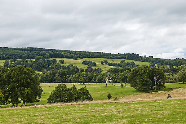 포토 JPG 해외이미지 나무 영어 밭 농업 자연 영국 잉글랜드 웨일즈 파노라마 사람없음 야외 초록색 농장 농경지 평화 환경 계곡 맑음 시골 오픈 숲 땅 언덕 장면 전국 해외포토 식물 문자 유럽 산업 컬러 컨셉 날씨 촬영기법 생태계 파일형식 이미지허브