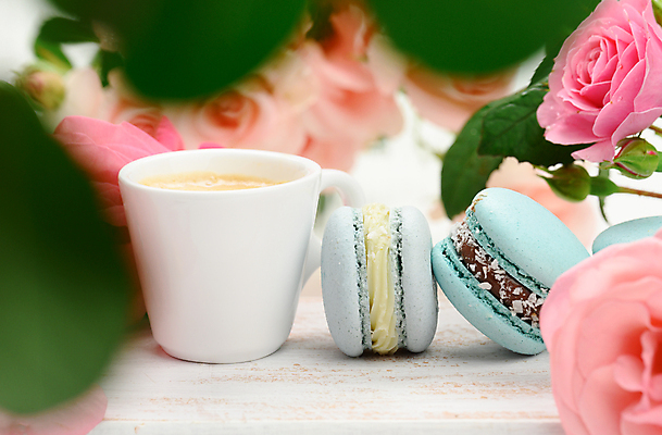 포토 JPG 해외이미지 꽃 커피 디저트 실내 사람없음 컵 달콤 소프트포커스 마카롱 해외포토 식물 식기 음료 음식 촬영기법 내부 맛 파일형식 이미지허브