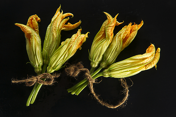 포토 JPG 해외이미지 식물 꽃 음식 백그라운드 채소 자연 호박 건강 사람없음 노란색 정원 튀김 신선 유기농 날것 고립 식용 해외포토 웰빙 컬러 생태계 파일형식 이미지허브