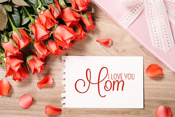 포토 JPG 해외이미지 영어 꽃잎 종이 꽃다발 실내 사람없음 선물상자 장미 어머니의날 나무배경 해외포토 문자 기념일 꽃 백그라운드 선물 내부 상자 미국문화 파일형식 이미지허브