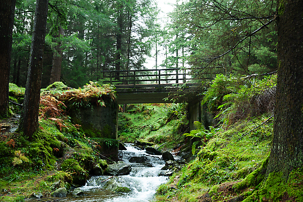 포토 JPG 해외이미지 나무 공원 잎 자연 산 풍경 사람없음 야외 초록색 물 강 환경 계곡 폭포 흐름 가을 개울 숲 아일랜드 내추럴 전국 해외포토 자연요소 식물 계절 공공시설 유럽 컬러 컨셉 생태계 파일형식 이미지허브
