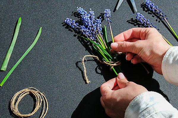 포토 JPG 해외이미지 손 꽃 꽃다발 실내 신체부위 잡기 작업 작업실 꽃집 만들기 무스카리 해외포토 식물 모션 사람 내부 상점 파일형식 이미지허브