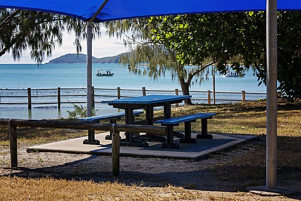 포토 JPG 해외이미지 나무 바다 여행 의자 자연 탁자 하늘 낚시 휴가 휴식 풍경 사람없음 야외 물 여름 파란색 소풍 덮개 직물 보트 호주 그늘 그림 캔버스 머리위 설정 수평선 해외포토 자연요소 식물 계절 컬러 가구 컨셉 배_교통 레저 야외활동 뚜껑 오세아니아 생태계 파일형식 이미지허브