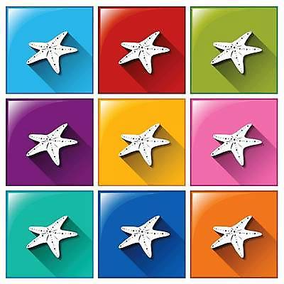 EPS 해외이미지 일러스트 버튼 불가사리 사람없음 컬러풀 해외일러스트 컬러 극피동물 파일형식 벡터 이미지허브