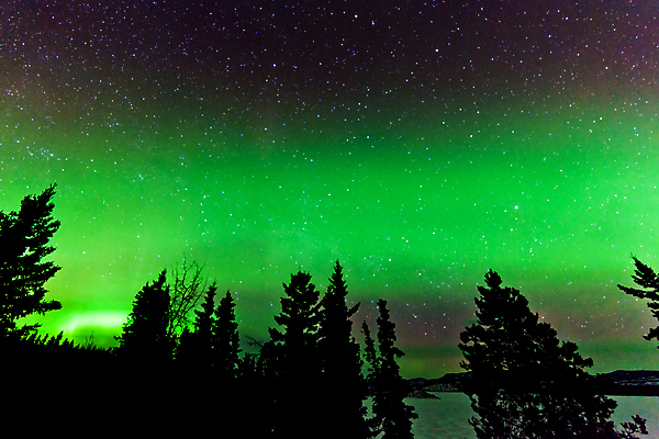 포토 JPG 해외이미지 나무 실루엣 별 캐나다 겨울 밭 자연 하늘 전등 풍경 사람없음 야외 초록색 빛 우주 소용돌이 야간 숲 영토 천문학 북쪽 알래스카 빛망울 오로라 광 현상 해외포토 자연요소 식물 계절 교육 컬러 북아메리카 농업 자연현상 조명 촬영기법 미국 회오리 방향 생태계 파일형식 이미지허브
