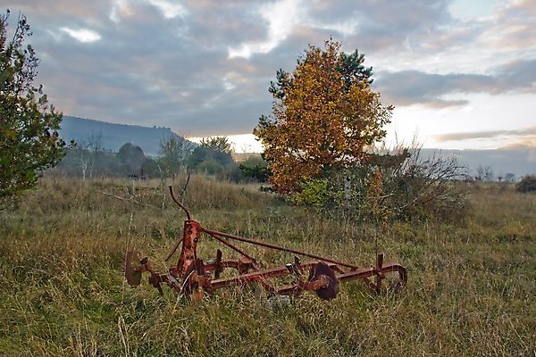포토 JPG 해외이미지 나무 주택 사람없음 울타리 추위 가을 바위 양치기 보호 숲 과거 해외포토 식물 직업 계절 컨셉 건물 담장 돌_바위 파일형식 이미지허브