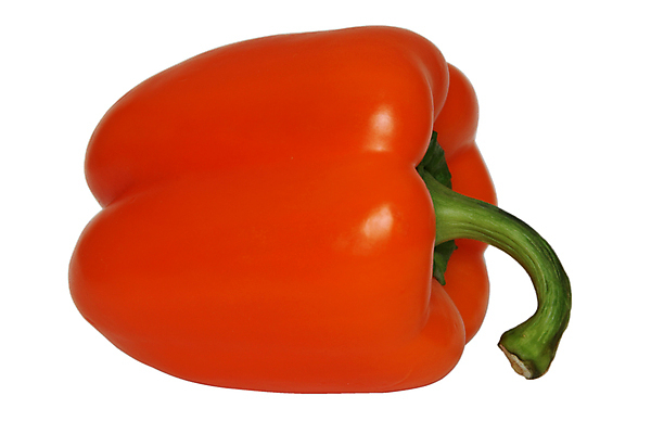 포토 JPG 해외이미지 다이어트 채소 오렌지 건강 사람없음 정원 신선 유기농 후추 채식주의자 해외포토 웰빙 과일 향신료 채식 파일형식 이미지허브