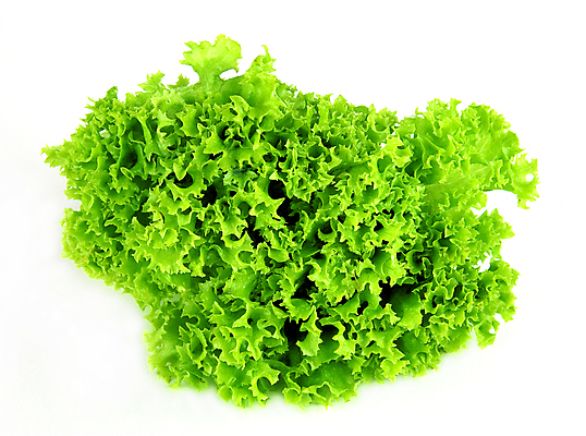 포토 JPG 해외이미지 식물 음식 잎 농업 다이어트 자연 건강 사람없음 초록색 농작물 농장 주방 정원 저녁식사 샐러드 신선 고명 맛 아침식사 먹기 준비 유기농 비타민 내추럴 채식주의자 해외포토 웰빙 산업 컬러 컨셉 모션 식사 생태계 채식 영양소 파일형식 이미지허브