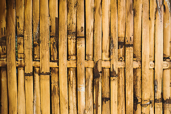 포토 JPG 해외이미지 나무 백그라운드 패턴 추상 동양인 사람없음 목재 울타리 갈색 일본 중국 나뭇가지 다발 대나무 질감 나무껍질 내추럴 해외포토 식물 아시아 컬러 무늬 재료 인종 담장 껍질 파일형식 이미지허브