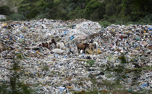 포토 JPG 해외이미지 산업 종이 갈매기 조류 사람없음 쌓기 환경 금속 재활용 슬픔 오염 보호 쓰레기 폐기물 플라스틱 가난 거절 버리기 기아 불행 흙더미 낭비 고물상 생태학 처리 해외포토 동물 교육 감정 컨셉 모션 재질 흙 사회이슈 친환경 파일형식 더미 이미지허브