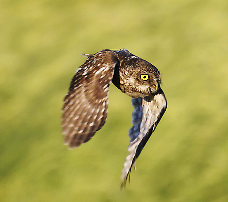 포토 JPG 해외이미지 여행 사람없음 여행객 불가리아 해외포토 사람 파일형식 남유럽 이미지허브