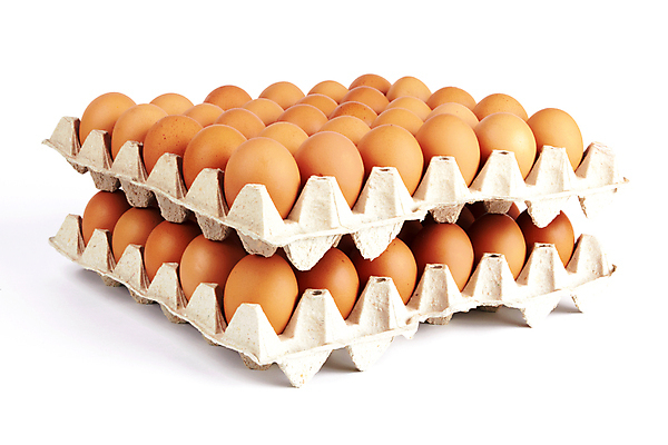 포토 JPG 해외이미지 실내 사람없음 쌓기 계란 흰배경 계란판 해외포토 백그라운드 모션 내부 알 흰색 파일형식 이미지허브