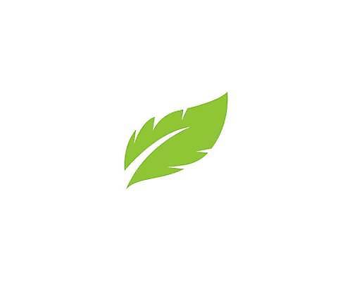 EPS 해외이미지 나무 식물 템플릿 컨셉 잎 꽃무늬 일러스트 회사 비즈니스 자연 추상 건강 미술 그래픽 장식 초록색 여름 세트 새싹 환경 봄 신선 플랫 차 보호 수집 심볼 사인 에코 유기농 내추럴 고립 생태학 엘리먼트 비건 해외일러스트 웰빙 계절 교육 꽃 음료 컬러 무늬 문화예술 생태계 채식주의자 파일형식 벡터 채식 이미지허브