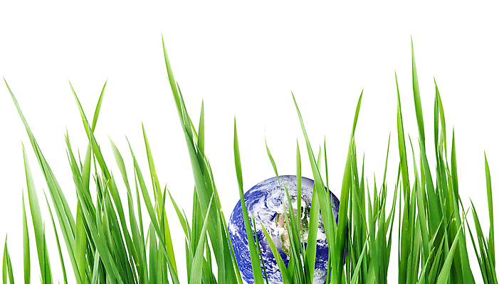 포토 JPG 해외이미지 식물 지구 자연 사람없음 초록색 글로벌 지구본 행성 흰색 원형 고립 생태학 여의주 해외포토 도형 교육 컬러 우주 생태계 파일형식 이미지허브