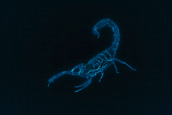 포토 JPG 해외이미지 동물 모래 백그라운드 절지류 자연 사람없음 야외 가로 컬러풀 갈색 봄 사막 닫기 위험 작음 큼 전갈 묘사 꼬리 육식동물 전갈자리 헝가리 찌르기 동물상 해외포토 계절 컬러 컨셉 모션 조형물 별자리 크기 생태계 동유럽 파일형식 이미지허브