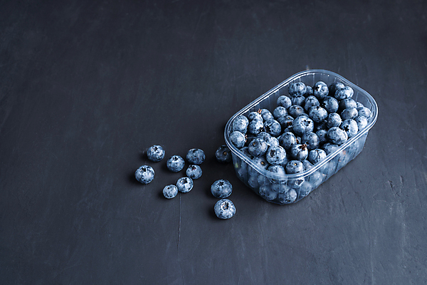 포토 JPG 해외이미지 검은배경 실내 사람없음 신선 달콤 담기 블루베리 플라스틱통 해외포토 백그라운드 과일 모션 통 내부 검은색 맛 플라스틱 파일형식 이미지허브