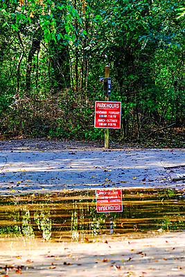 포토 JPG 해외이미지 나무 공원 길 스포츠 여행 자국 자연 건강 풍경 사람없음 야외 초록색 달리기 조깅 운동 반사 평화 걷기 환경 침묵 산책 산책로 하이킹 탐험 시골 시간 숲 오솔길 사인 웅덩이 사이클링 단계 내추럴 바이킹 방법 해외포토 식물 공공시설 컬러 컨셉 모션 레저 휴식 소리 육상스포츠 생태계 파일형식 이미지허브