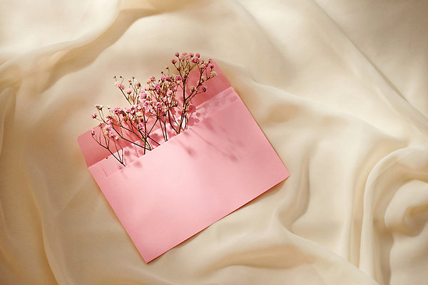 포토 JPG 해외이미지 봄꽃 편지봉투 실내 사람없음 감성 베이지색배경 해외포토 꽃 백그라운드 컨셉 봉투 내부 봄 편지 베이지색 파일형식 이미지허브