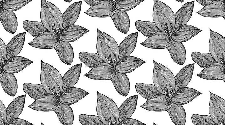 EPS 해외이미지 식물 꽃잎 꽃 실루엣 잎 꽃무늬 패턴 일러스트 자연 추상 미술 그래픽 검은색 소용돌이 흰색 나뭇가지 직물 신용카드 난초 우아함 인쇄 백합 두루마리 은박지 그림 윤곽 초대 타이틀 고립 엘리먼트 하와이인 히비스커스 반복 해외일러스트 외국인 나무 컬러 컨셉 무늬 문화예술 촬영기법 금융 회오리 생태계 파일형식 벡터 이미지허브