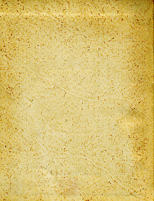 포토 JPG 해외이미지 디자인 종이 백그라운드 표면 날씨 추상 프레임 사람없음 책 갈색 노란색 우주 쪽지 공백 손상 수확 덮개 점 거친 주름 균열 황폐 질감 복고 심플 캔버스 페이지 스크래치 찢어짐 판지 구김 구식 그런지 세피아 양피지 옛날 원고 파피루스 노화 스타일 해외포토 식물 컬러 컨셉 무늬 농업 모션 촬영기법 뚜껑 파일형식 이미지허브