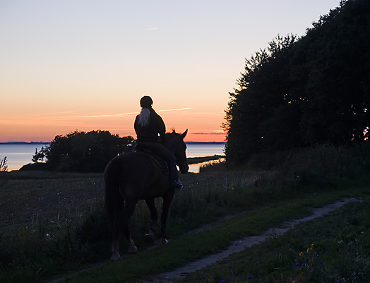 포토 JPG 해외이미지 동물 구름 실루엣 야생동물 스포츠 바다 포즈 밭 자연 하늘 사람 풍경 사람없음 야외 햇빛 태양 황혼 일몰 승마 승차 라이더 해외포토 자연요소 농업 모션 촬영기법 노을 생태계 파일형식 이미지허브