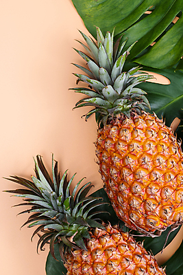 포토 JPG 해외이미지 실내 사람없음 하이앵글 파인애플 열대과일 몬스테라 열대잎 분홍색배경 제철과일 해외포토 식물 뷰포인트 분홍색 백그라운드 잎 과일 내부 제철 파일형식 이미지허브