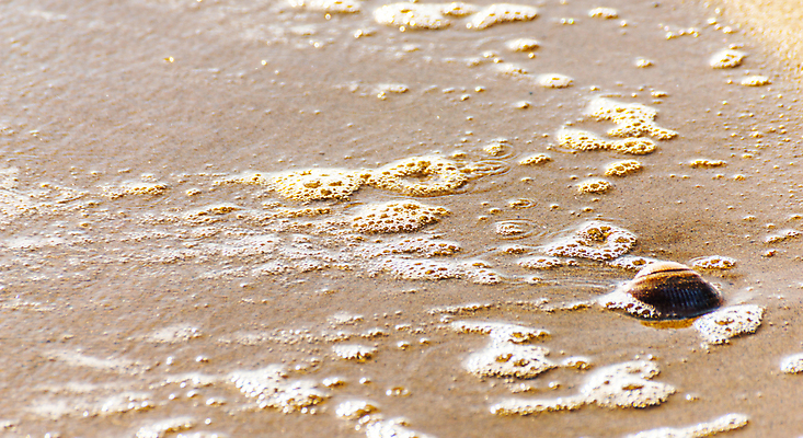 포토 JPG 해외이미지 디자인 모래 파도 바다 섬 여행 백그라운드 패턴 휴가 조개 휴식 풍경 해변 사람없음 야외 물 여름 파란색 햇빛 태양 뷰티 맑음 거품 껍질 전원 황금 소라 휴양지 질감 내추럴 이국적 특별함 파라다이스 카피스페이스 해외포토 자연요소 계절 컬러 컨셉 무늬 날씨 어패류 공백 장소 전기에너지 파일형식 이미지허브