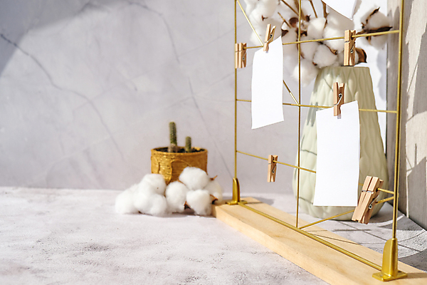 포토 JPG 해외이미지 종이 선인장 실내 사람없음 오브젝트 대리석 나무집게 메모보드판 목화꽃 선인장화분 목화솜 해외포토 식물 꽃 화분 재료 집게 내부 목재 솜 파일형식 이미지허브