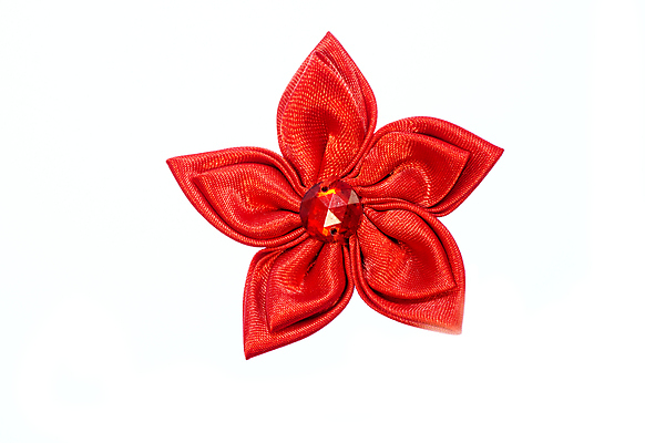 포토 JPG 해외이미지 식물 1 계절 꽃잎 꽃 꽃무늬 패턴 자연 선물 사랑 사람없음 야외 여름 빛 머리 우주 정원 봄 낭만 성장 흰색 신선 오브젝트 질감 내추럴 고립 해외포토 감정 컬러 컨셉 무늬 신체부위 생태계 파일형식 이미지허브