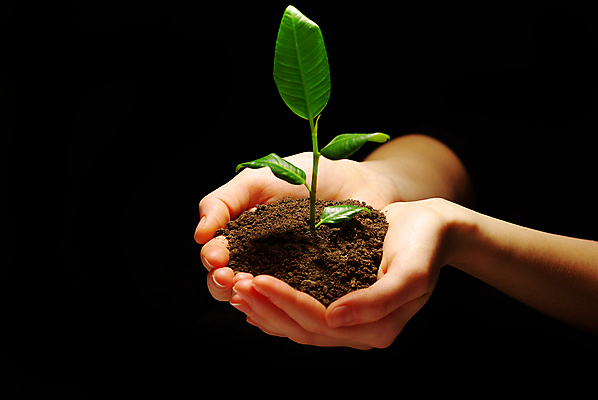 포토 JPG 해외이미지 손 들기 신체부위 빛 흙 잡기 해외포토 모션 사람 파일형식 이미지허브