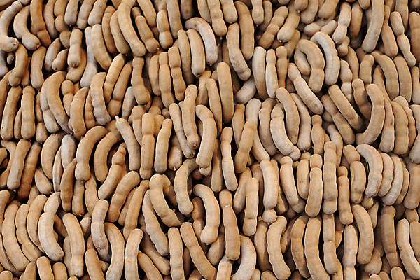 포토 JPG 해외이미지 아시아 음식 다이어트 과일 재료 태국 디저트 콩 건조 건강 씨앗 동양인 사람없음 갈색 껍질 신선 그룹 시장 달콤 맛 먹기 유기농 날것 비타민 내추럴 숙성 식용 이국적 타르트 많음 맛있는 해외포토 식물 웰빙 나라 빵 컬러 컨셉 모션 곡류 인종 파이_빵 영양소 파일형식 이미지허브