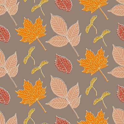 EPS 해외이미지 디자인 계절 선 백그라운드 단풍 잎 꽃무늬 패턴 일러스트 자연 벽지 미술 그래픽 장식 가을 직물 숲 인쇄 천 그림 윤곽 내추럴 엘리먼트 재 포장소품 해외일러스트 식물 꽃 무늬 포장 문화예술 오브젝트 생태계 포장재료 파일형식 벡터 이미지허브