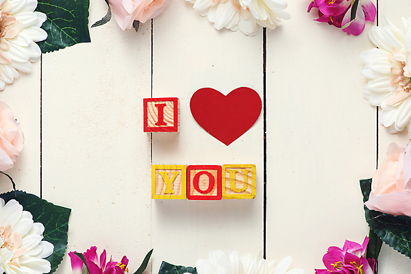 포토 JPG 해외이미지 꽃 프로포즈 프레임 실내 사랑 사람없음 하이앵글 블록 하트 아이러브유 나무배경 해외포토 모양 식물 감정 뷰포인트 백그라운드 내부 파일형식 이미지허브