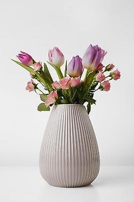 포토 JPG 해외이미지 화분 실내 사람없음 장미 튤립 흰배경 꽂음 해외포토 꽃 백그라운드 내부 흰색 파일형식 이미지허브