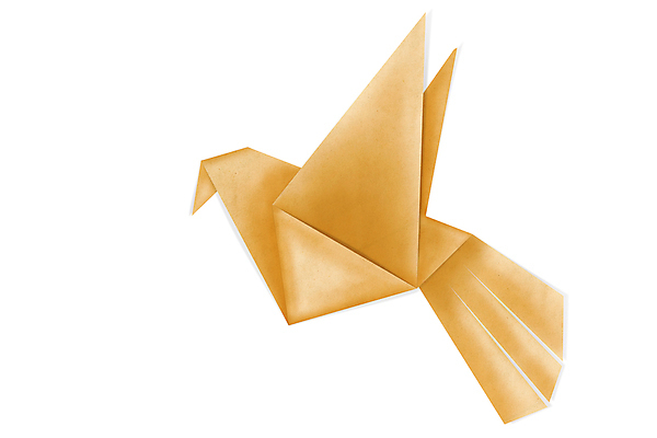 포토 JPG 해외이미지 모양 동물 템플릿 디자인 아시아 종이 백그라운드 일러스트 자연 벽지 조류 추상 사랑 미술 동양인 취미 사람없음 장식 초록색 세트 컬러풀 일본 웹 희망 재활용 게임 심볼 오브젝트 기중기 비둘기 종이접기 기하학 고립 구성 동물상 스펙트럼 엘리먼트 접기 많음 해외일러스트 감정 나라 컬러 컨셉 무늬 인터넷 모션 놀이 문화예술 인종 조형물 중장비 친환경 생태계 파일형식 이미지허브