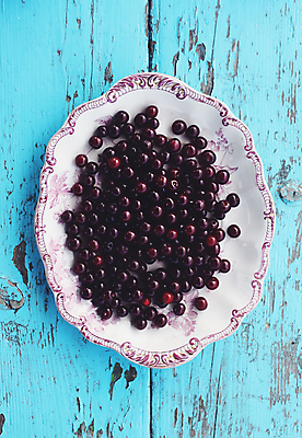 포토 JPG 해외이미지 나무 식물 라이프스타일 계절 열매 꽃 음료 음식 줄기 여행 컨셉 잎 농업 채소 과일 자연 건강 사람없음 가로 빨간색 초록색 빛 농작물 약 정원 활발 성장 나뭇가지 신선 도시 체리 비교 그룹 닫기 달콤 먹기 숙성 해외포토 산업 컬러 의학 모션 생활 맛 생태계 파일형식 이미지허브