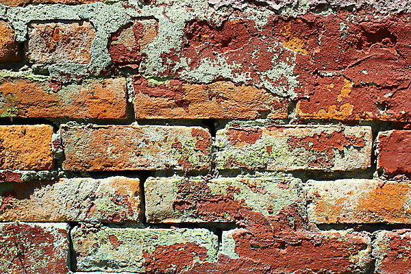 포토 JPG 해외이미지 외관 벽 패턴 건축양식 벽지 표면 날씨 벽돌 사람없음 건물 갈색 도시 거친 질감 시멘트 고체 그런지 옛날 콘크리트 해외포토 건축물 건축 컬러 무늬 파일형식 이미지허브