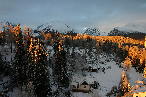 포토 JPG 해외이미지 나무 공원 겨울 자연 아침 산 파노라마 풍경 사람없음 침묵 추위 숲 조용 지역 동쪽 내추럴 슬로바키아 해외포토 주간 식물 계절 공공시설 유럽 촬영기법 소리 방향 생태계 파일형식 이미지허브