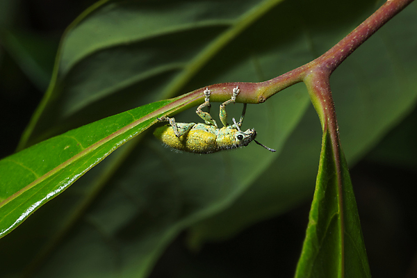 포토 JPG 해외이미지 사람없음 초록색 해외포토 컬러 파일형식 이미지허브
