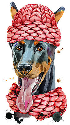 포토 JPG 해외이미지 백그라운드 일러스트 털모자 미술 사람없음 반려동물 목도리 강아지 니트 도베르만핀셔 해외일러스트 동물 모자_잡화 잡화 상의 문화예술 개 파일형식 핀셔 이미지허브