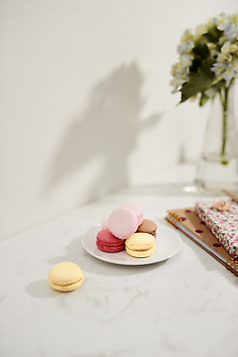 포토 JPG 해외이미지 접시 꽃 탁자 실내 그림자 사람없음 책 꽃병 마카롱 해외포토 식물 식기 가구 디저트 내부 파일형식 이미지허브