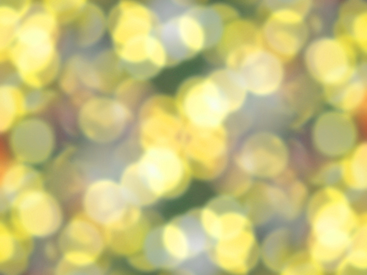 포토 JPG 해외이미지 나무 디자인 계절 실루엣 백그라운드 컨셉 크리스마스 패턴 벽지 추상 휴가 사람없음 장식 빨간색 초록색 빛 컬러풀 노란색 파티 검은색 축제 어둠 활발 기쁨 낭만 축하 점 원형 야간 소프트포커스 보케 강렬 광 노엘 블러 해외포토 자연요소 도형 식물 기념일 감정 컬러 무늬 촬영기법 이벤트 파일형식 이미지허브