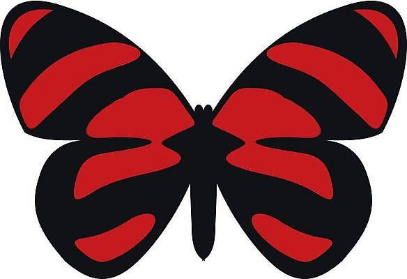 EPS 해외이미지 동물 나비 곤충 패턴 일러스트 자연 추상 미술 장식 빛 컬러풀 축제 봄 줄무늬 공백 낭만 신용카드 화려 플랫 클래식 우아함 그림 생물학 초대 공상 내추럴 생태학 엘리먼트 완벽 현실 해외일러스트 계절 교육 컬러 컨셉 무늬 문화예술 금융 생태계 파일형식 벡터 이미지허브