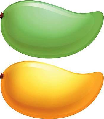 EPS 해외이미지 나무 식물 음식 과학 백그라운드 과일 일러스트 아이스크림 그래픽 초록색 노란색 주스 바위 흰색 개화 달콤 질감 부드러움 망고 비타민 고립 과육 숙성 스무디 식용 영양소 해외일러스트 꽃 음료 컬러 디저트 돌_바위 감각 맛 열대과일 파일형식 벡터 이미지허브