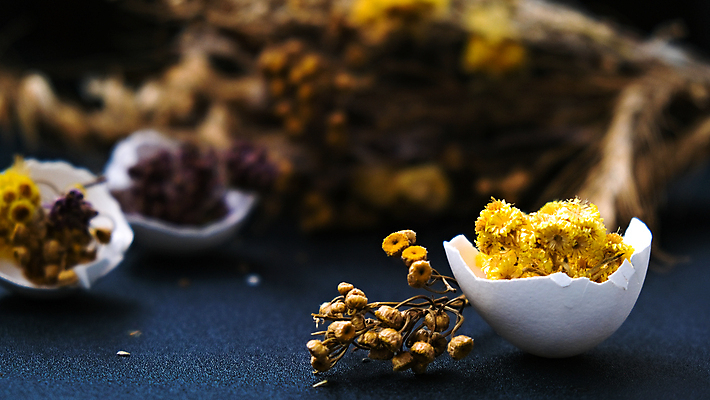 포토 JPG 해외이미지 실내 사람없음 아웃포커스 계란껍데기 오브젝트 드라이플라워 남색배경 해외포토 꽃 백그라운드 촬영기법 내부 계란 남색 파일형식 이미지허브