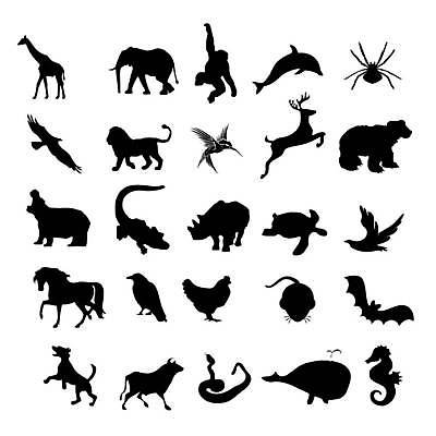EPS 해외이미지 동물 디자인 실루엣 야생동물 바다 백그라운드 패턴 일러스트 곰 포유류 자연 사슴 코끼리 어류 미술 물 반려동물 세트 검은색 수중 흰색 원숭이 뱀 거북이 개 사자 만화 수집 기린 심볼 돌고래 그림 코뿔소 까마귀 고립 암탉 해외일러스트 자연요소 컬러 무늬 파충류 조류 문화예술 촬영기법 수중동물 닭 암컷 생태계 파일형식 벡터 이미지허브