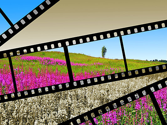 포토 JPG 해외이미지 나무 식물 산업 조각 밭 자연 하늘 프레임 흑백 미술 풍경 사람없음 여름 3D 카메라 우주 스크린 사진촬영 침묵 봄 공백 장비 미끄럼틀 영화관 필름 영화 그림 복고 정사각형 만들기 롤 테이프 동영상 얼레 할리우드 고립 선로 해외포토 도형 계절 농업 모션 문화예술 문구용품 촬영기법 전자제품 촬영 소리 놀이기구 극장 디지털합성 생태계 로스앤젤레스 파일형식 이미지허브