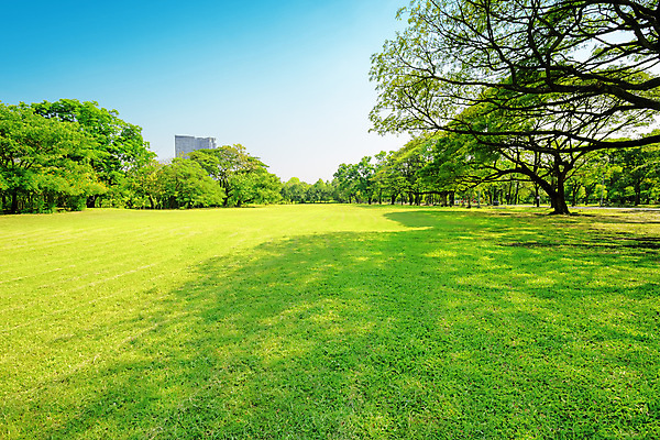 포토 JPG 해외이미지 나무 공원 꽃 길 백그라운드 곡선 자연 하늘 아침 불꽃 풍경 잔디 초원 사람없음 야외 건물 초록색 여름 파란색 빛 햇빛 정원 봄 도시 오솔길 조경 해외포토 주간 식물 건축물 계절 공공시설 선 컬러 불 태양 생태계 파일형식 이미지허브