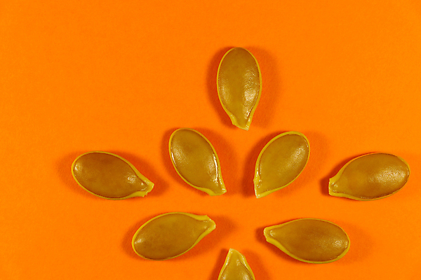 포토 JPG 해외이미지 식물 디자인 음식 백그라운드 패턴 농업 채소 오렌지 벽지 호박 추상 건강 요리 씨앗 사람없음 가로 농작물 햇빛 새싹 주방 사진촬영 활발 촉촉함 수확 성장 신선 준비 유기농 레이아웃 거인 대서양 남아프리카 모종 영양분 파종 세련 해외포토 웰빙 산업 바다 컨셉 무늬 과일 아프리카 태양 농사 촬영 젖음 파일형식 이미지허브